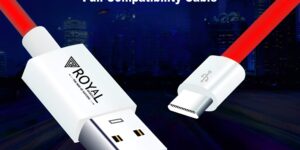 Royal DC-007 Type C 65W Red Data Cables(20pc)